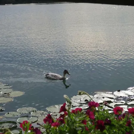Ferienhaus Am Friedberger Baggersee